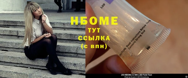 дживик Бородино
