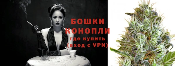 дживик Бородино