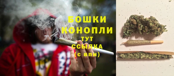 мдпв Бугульма