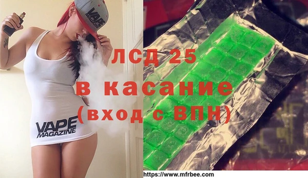 дживик Бородино