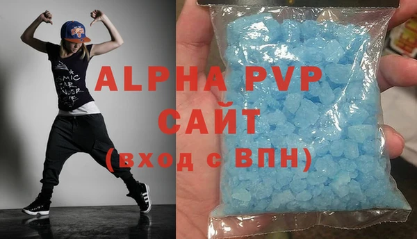 дживик Бородино