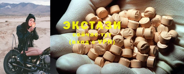 дживик Бородино
